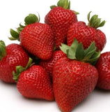 San Andreas Strawberry Plants (Bare Roots)  (Everbearing)