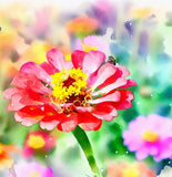 Zinnia elegans 'Lilliput Mix' (Zinnia, Dwarf Mixed - Lilliput Mix)