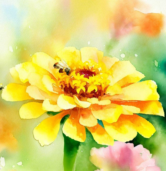 ZINNIA elegans elegans 'Canary Bird'  (Zinnia, Yellow - Canary Bird)