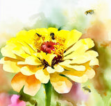 ZINNIA elegans elegans 'Canary Bird'  (Zinnia, Yellow - Canary Bird)