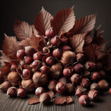 Corylus americana with hulls (American Filbert, American Hazel, American Hazel Nut)