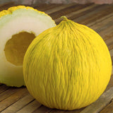 Casaba Golden Beauty Melon (Cucumis melo)