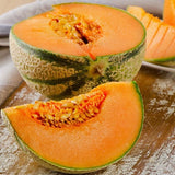 Honey Rock Melon (Cucumis melo)