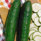 Marketer Cucumber, Slicing (Cucumis sativus)