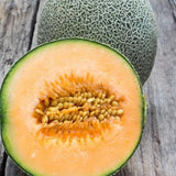 Edisto 47 Melon (Cucumis melo)