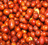 Ziziphus jujuba (Jujube, Chinese Date)