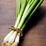 Evergreen Nebuka Onion, Bunching (Allium fistulosum)