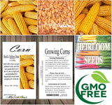 Reid's Yellow (Yellow Dent Field Corn - Heirloom Corn) (Zea mays)