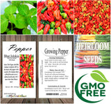 Ghost Pepper / Bhut Jolokia Pepper, HOT (Capsicum annuum)