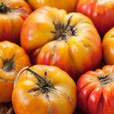 Mr. Stripey Tomato, Standard (Slicing) Tomato (Lycopersicon esculentum)