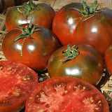 Paul Robeson Tomato, Standard (Slicing) Tomato (Lycopersicon esculentum)