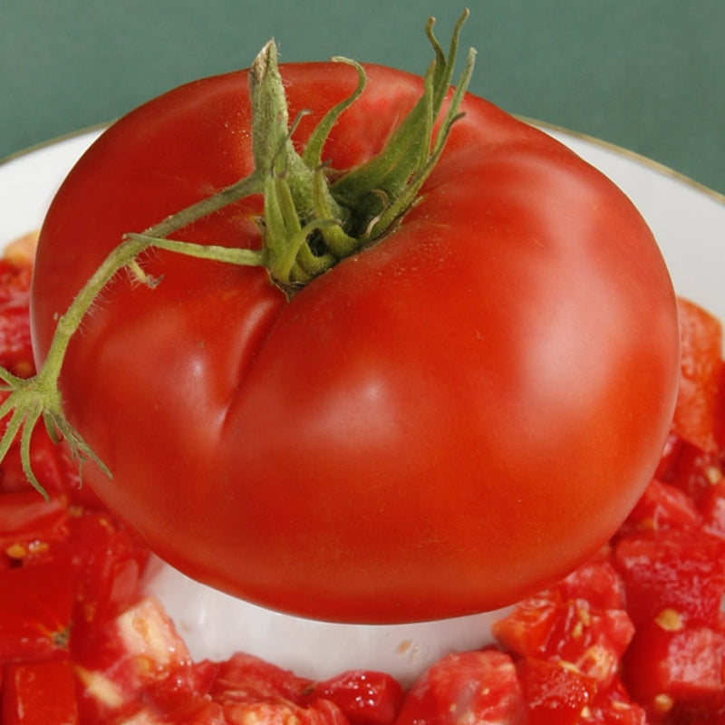 Delicious Tomato, Standard (Slicing) Tomato (Lycopersicon esculentum)