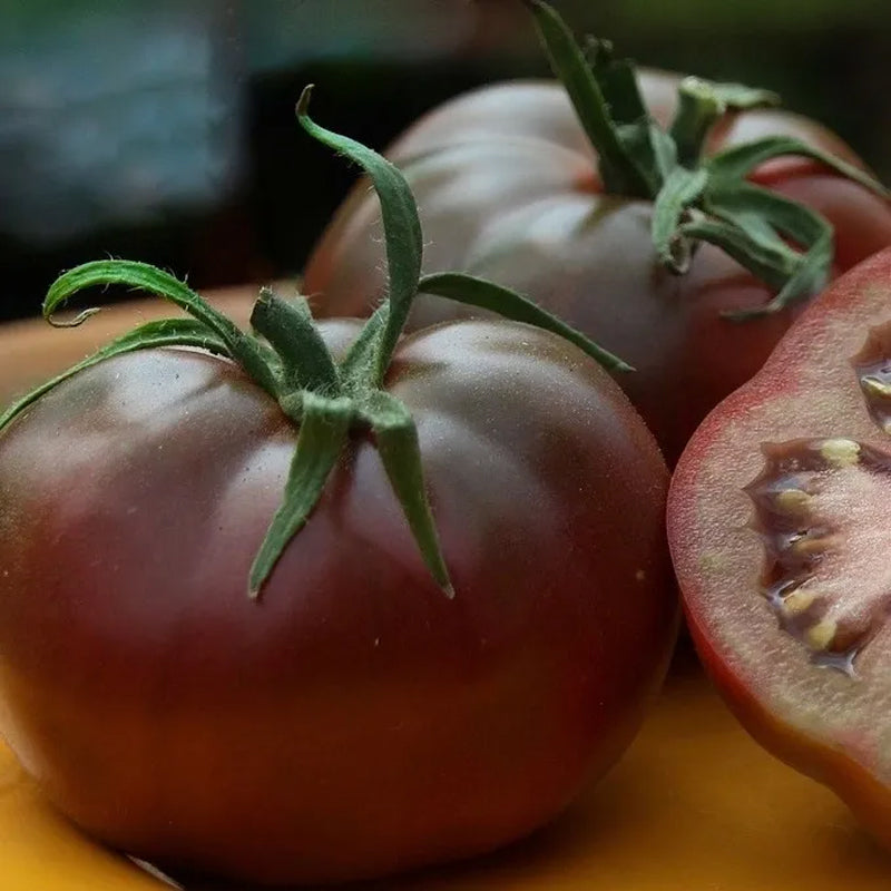 Brandywine Black , Standard (Slicing) Tomato (Lycopersicon esculentum)