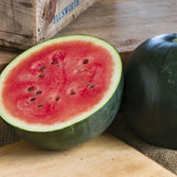 Bush Sugar Baby Watermelon (Citrullus lanatus)