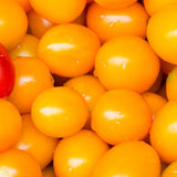 Amarillo F1 Hybrid Tomato, Cherry Tomato (Lycopersicon esculentum)