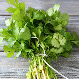 Cilantro, Long Standing (Coriandrum sativum)