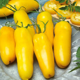 Banana Legs Tomato, Roma (Paste) Tomato (Lycopersicon esculentum)