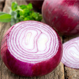 Red Ruby Onion, Long-Day (Allium cepa)