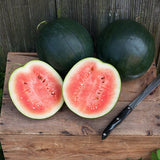 Sugar Baby Watermelon (Citrullus lanatus)
