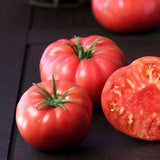 Brandywine Pink, Standard (Slicing) Tomato (Lycopersicon esculentum)
