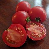 Arkansas Traveler , Standard (Slicing) Tomato (Lycopersicon esculentum)