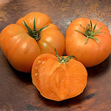 Beefsteak (Dr. Wyche’s Yellow), Standard (Slicing) Tomato (Lycopersicon esculentum)