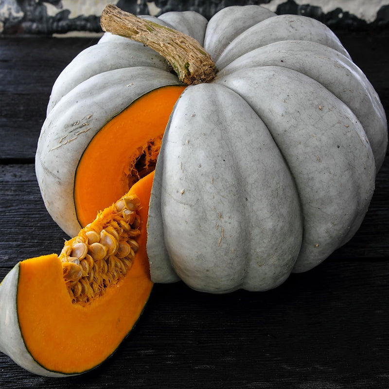 Jarrahdale Blue Pumpkin Seeds – 10 Seeds, Heirloom, Cinderella Type, Easy Grow
