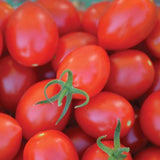 Red Grape F1 Hybrid Tomato, Grape Tomato (Lycopersicon esculentum)