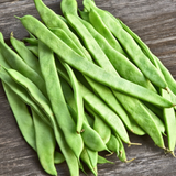 Roma II Green, Bush Bean (Phaseolus vulgaris)