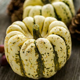 Sweet Dumpling Squash, Winter (Cucurbita maxima)