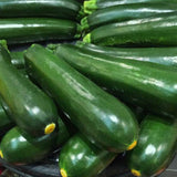 Dark Green Zucchini Squash, Summer (Cucurbita pepo)