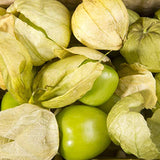 Grande Rio Verde Tomatillo (Physalis ixocarpa)