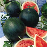 Sugar Baby Watermelon (Citrullus lanatus)
