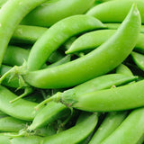 Sugar Snap Pea, Edible Pod Snap Pea (Pisum sativum)