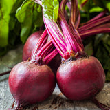 Bull's Blood Beet (Organic) (Beta vulgaris)
