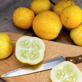 Lemon Cucumber, Slicing (Cucumis sativus)