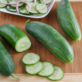 Best Slice Burpless Bush F1 Cucumber, Hybrid  (Melothria scabra)