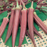 Red Burgundy Okra (Abelmoschus esculentus)
