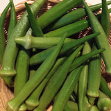 Perkins Long Pod Okra (Abelmoschus esculentus)