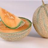 Planters Jumbo Melon (Cucumis melo)