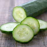 Garden Sweet Burpless Cucumber, Hybrid (Cucumis sativus)