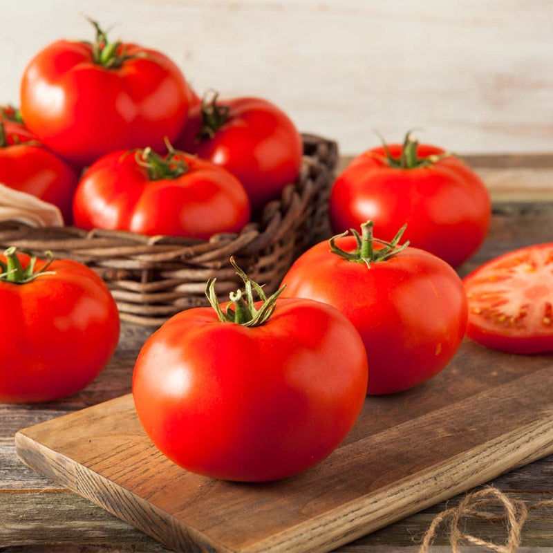 Beefsteak , Standard (Slicing) Tomato (Lycopersicon esculentum)