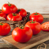 Beefsteak, Standard (Slicing) Tomato (Lycopersicon esculentum)