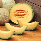 Planters Jumbo Melon (Cucumis melo)