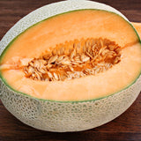 Hale's Best Jumbo Melon (Cucumis melo)