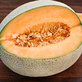 Hales Best Jumbo Melon (Cucumis melo)