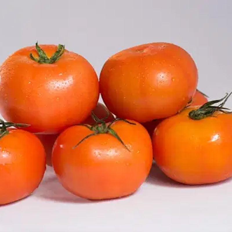 Tomato-Jet Star