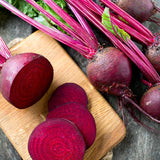 Bull's Blood Beet  (Beta vulgaris)