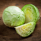 Late Flat Dutch Cabbage (Brassica oleracea)