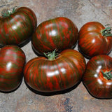 Chocolate Stripes, Standard (Slicing) Tomato (Lycopersicon esculentum)